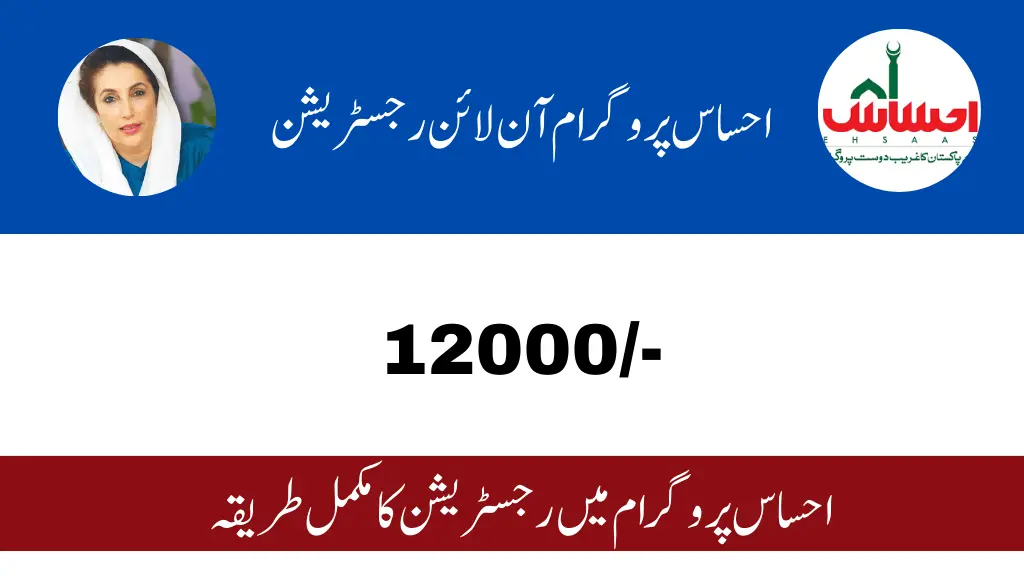 Ehsaas Program Online Check By Web Portal Update 2024