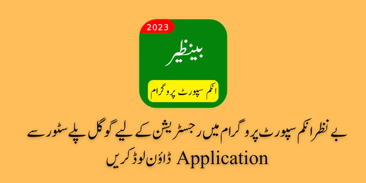 Online Programme Benazir Income Support Online Apps