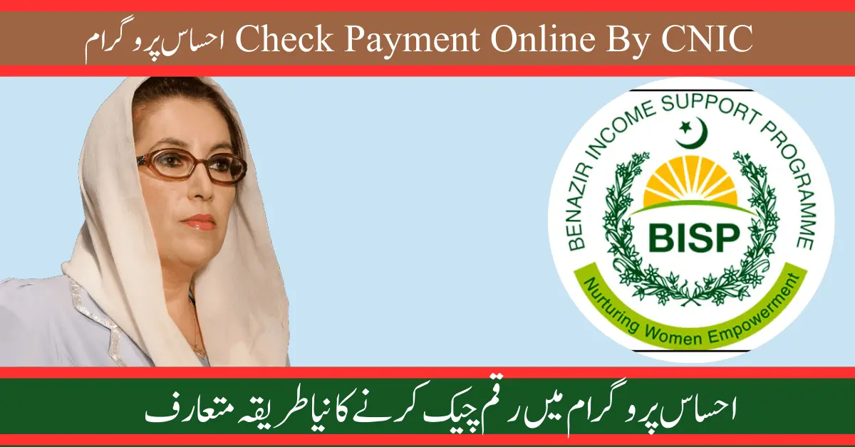 احساس پروگرام 8171 Check Payment Online By CNIC 2024