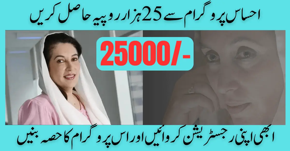 Ehsaas Program Check CNIC Online Ehsaas 8171 25000